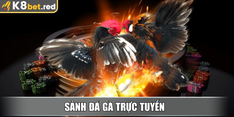 Sảnh Đá Gà trực tuyến